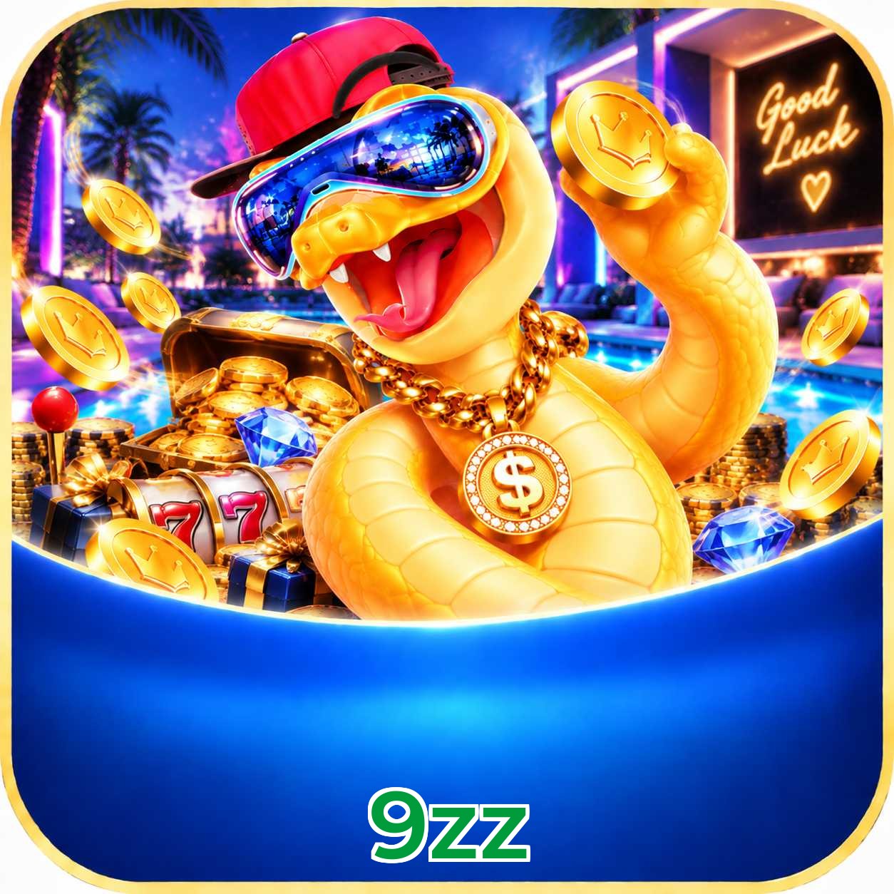 9zz VIP FAQ
